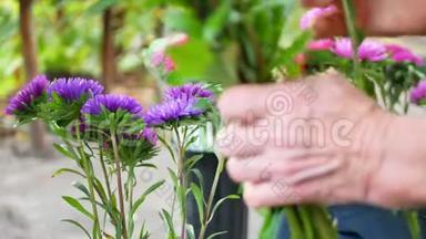 用紫色或紫色、粉色米迦勒玛雏菊或紫菀做花束
